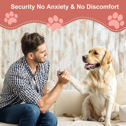 Dog Nail File with 6Pcs Replaceable Filing Disc, Dog Scratch Board for Safe and Easy Nail Care, Dog Nail Scratch Board Ensures Smooth and Healthy Nails for Dogs and Cats (Colorful)