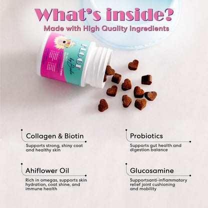 Floof by Brodie 10-in-1 Multivitamin Supplement: Dog and Puppy Vitamin with Joint Health Support MSM and Glucosamine HCL, Heart Health Coenzyme Q10, Probiotics, Collagen, Biotin - 60 Chews (6.35 oz)