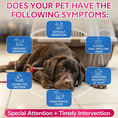 Flea and Tick Prevention Support Drop + Natural Urinary Tract Infection Treatment for Dogs & Cats | Pets Oral Natural Supplement Pet Care Support Drops for All Breeds and Ages