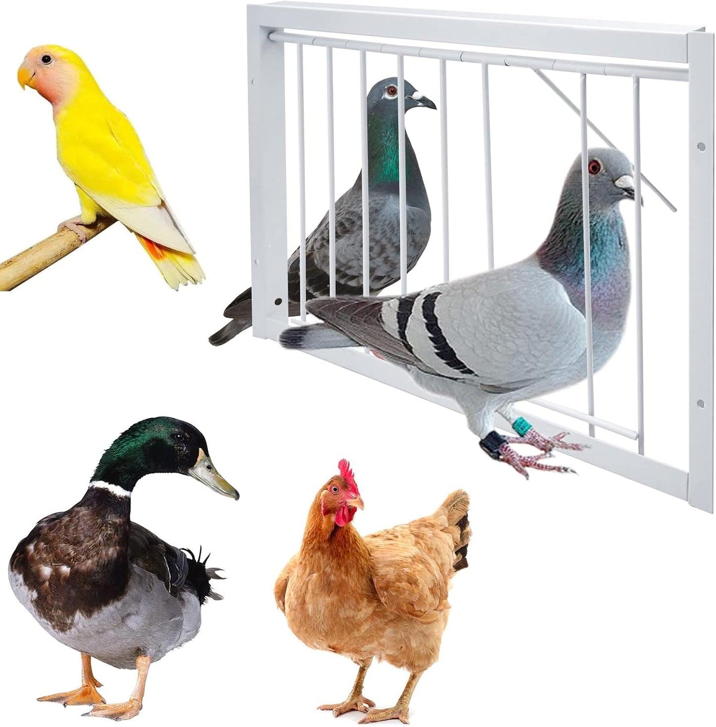 15.7in/40cm Pigeon Cage T-Trap Birdcage Iron Wire Trap Door for Racing Pigeon, 15.7in (40cm)