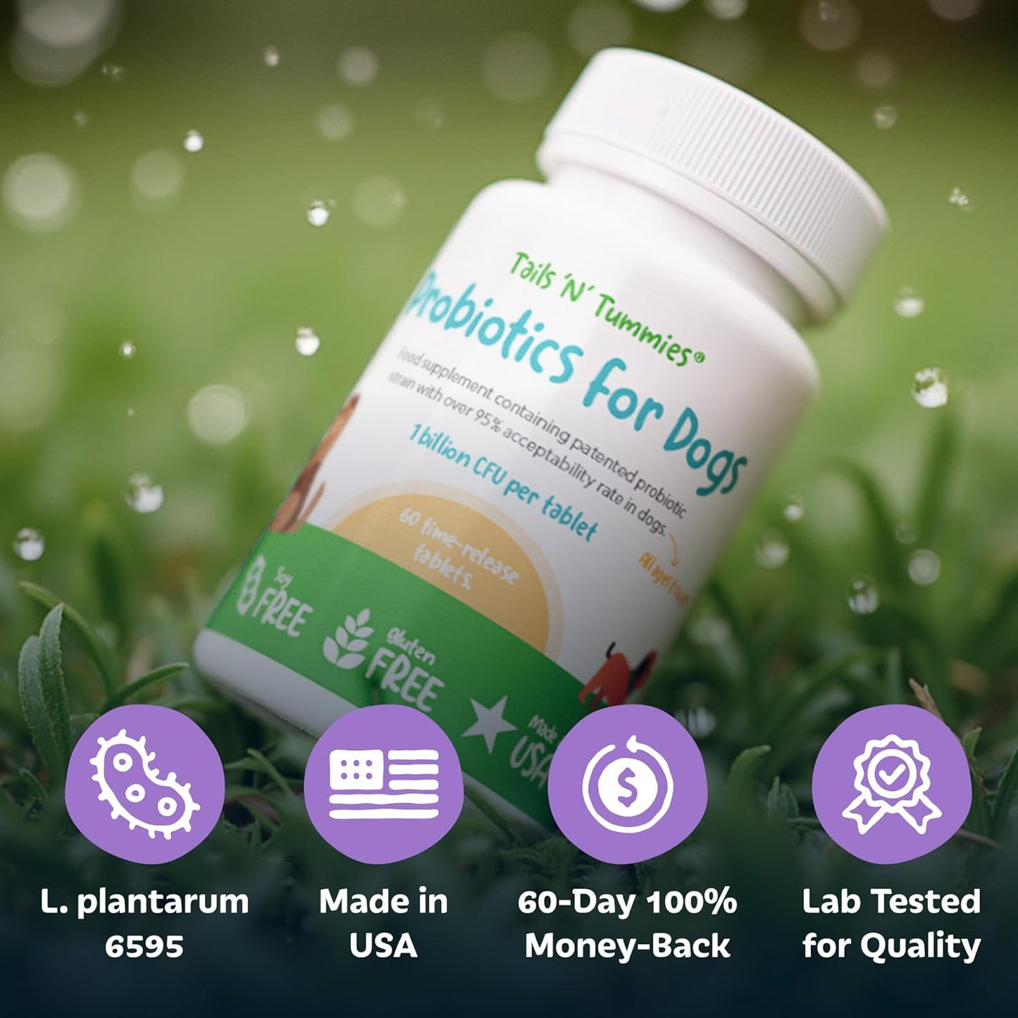 Tails ’N’ Tummies Probiotics for Dogs: 60 Tiny Tablets for Allergies, Itchy Skin, Diarrhea & Digestive Relief – Gentle, Clean Formula for Dogs