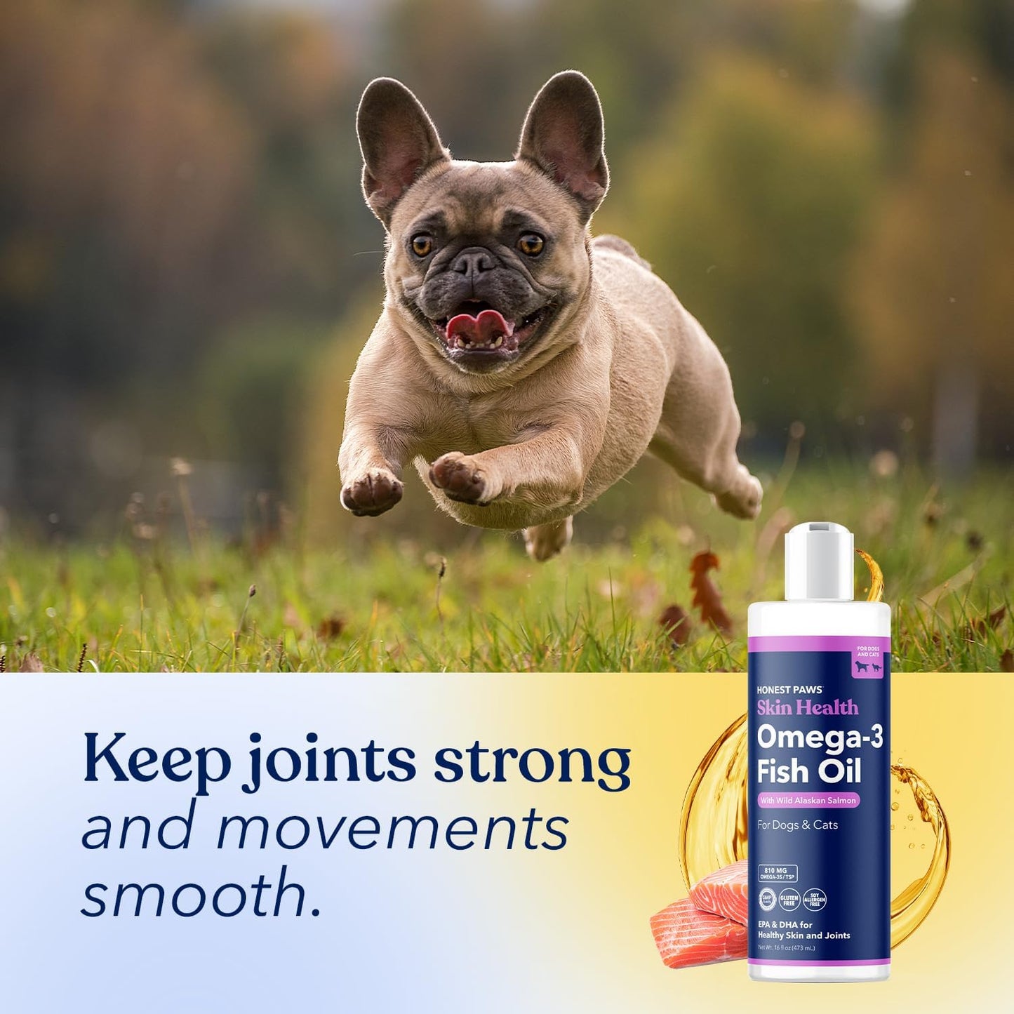 Honest Paws Salmon Oil for Dogs & Cats – Omega 3 Fish Oil Supplement for Skin, Coat, Joint & Heart Health – Natural, Sustainably Sourced Wild Alaskan Salmon, 16 oz