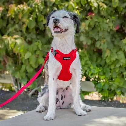 Best Pet Supplies Voyager Step-in Lock Pet Harness w Reflective Pet Leash Combo Set with Neoprene Handle 5ft - Supports Small, Medium and Large Breed Puppies/Cats - Red Set, XL