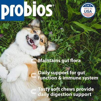 Probios for Dogs Soft Chews, Probiotics for Dogs, Daily Supplement for Gut Health, Digestion & Immune Support, Medium & Large Breeds, 8.46oz (Pack of 2)