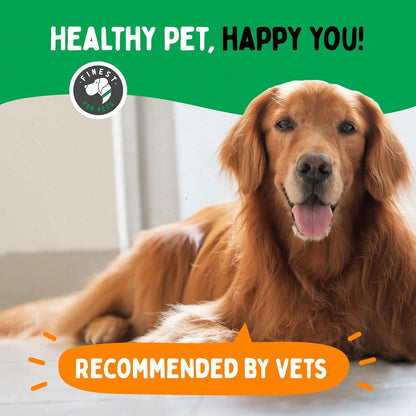 TummyWorks Probiotic 120 Soft Chews for Dogs All Ages - Supports Digestive Health, Relieves Diarrhea, Constipation, Good for Itching, Allergies, Yeast Infections. Added Digestive Enzymes, Made in USA