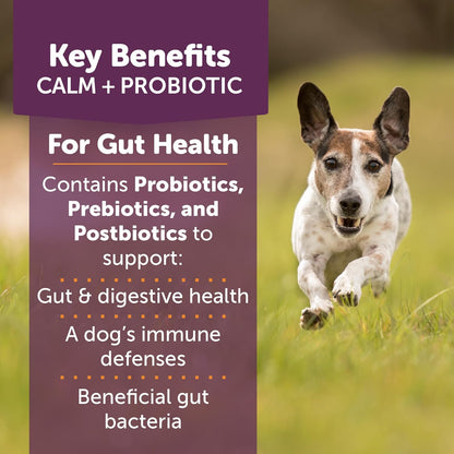 ThunderBites Calm + Probiotics for Dogs Daily Supplement Soft Chews, Supporting Dog Digestive & Gut Health with Probiotics, Prebiotics & Postbiotics + Calming Support for Daily Stressors, 90 Count