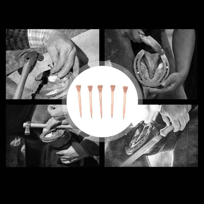 250Pcs Horseshoe Nails Copper Plated, Equestrian Riding Equipment, Rustproof Horseshoe Nails for Horse Hoof Health, Durable Copper Plated Nails with Storage Box, Professional Eques (45mm E3)