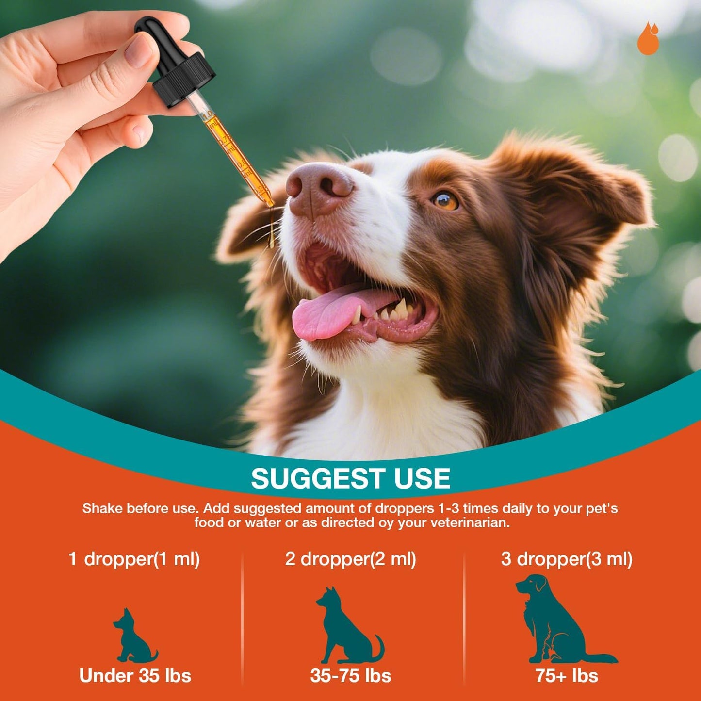 Dog Yeast Infection Treatment - 60ml Natural Herbal Supplement Drops | Supports Itch Relief, Ear Infection Relief & Skin Allergy Relief for All Breeds