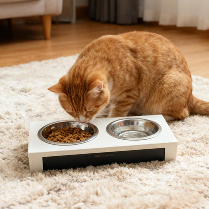 4 Pcs Stainless Steel Cat Bowls, Metal Cat Food Bowls for Indoor Cats, 6.1 Inch Shallow Wide Suitable for Kittens Whisker Fatigue Reducing, Elevates Food for Better, Replacement Basic Cats Plates