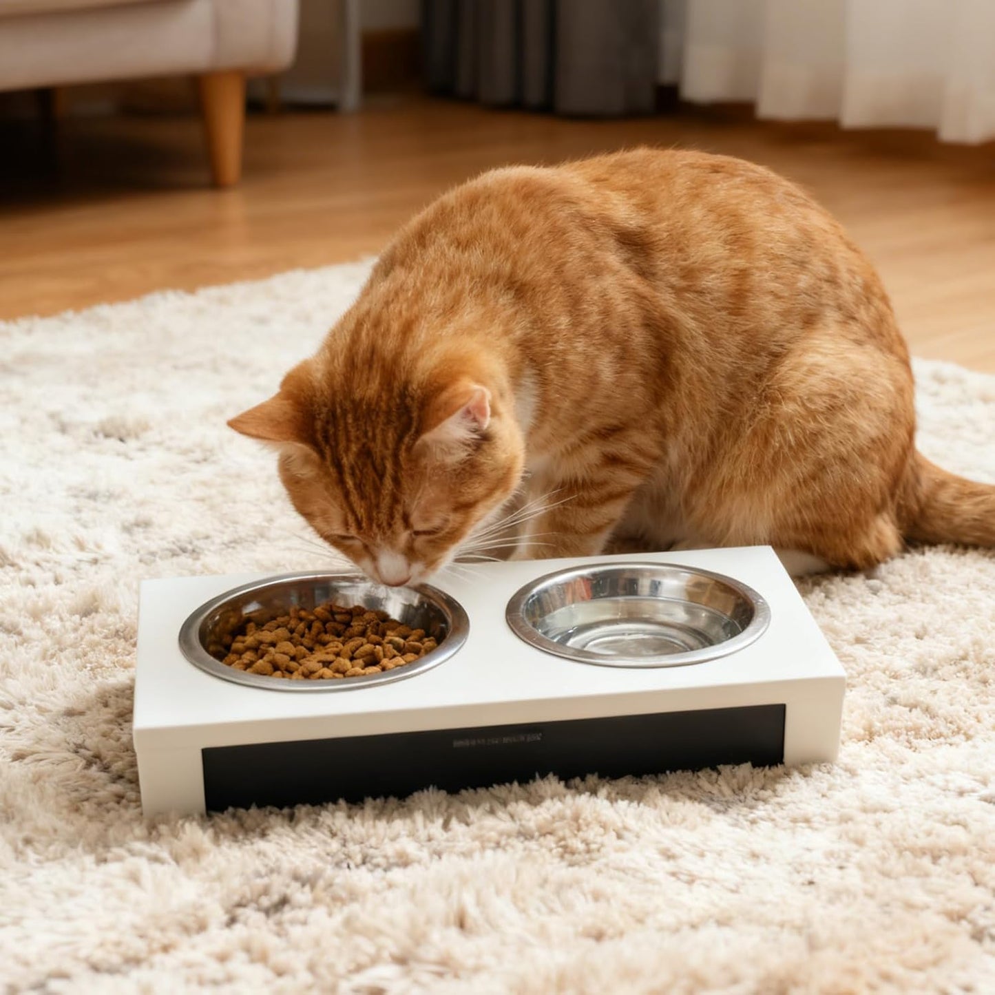 4 Pcs Stainless Steel Cat Bowls, Metal Cat Food Bowls for Indoor Cats, 6.1 Inch Shallow Wide Suitable for Kittens Whisker Fatigue Reducing, Elevates Food for Better, Replacement Basic Cats Plates