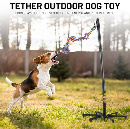 Tether Tug Outdoor Dog Toy,Tether Interactive Dog Tug Toy,Spring Pole For Dogs in Park,Yard,Lawn,2 Rope Toy and Bell Pull Chase and Solo Play,Tether Tug For Large Dogs,For Medium Small Dogs(Black)