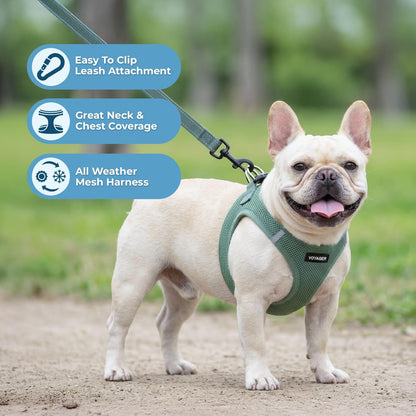 Best Pet Supplies Voyager Step-in Air All Weather Mesh Harness and Reflective Dog 5ft Leash Combo with Neoprene Handle, for Small, Medium and Large Breed Puppies - Set (Moss Green), Small