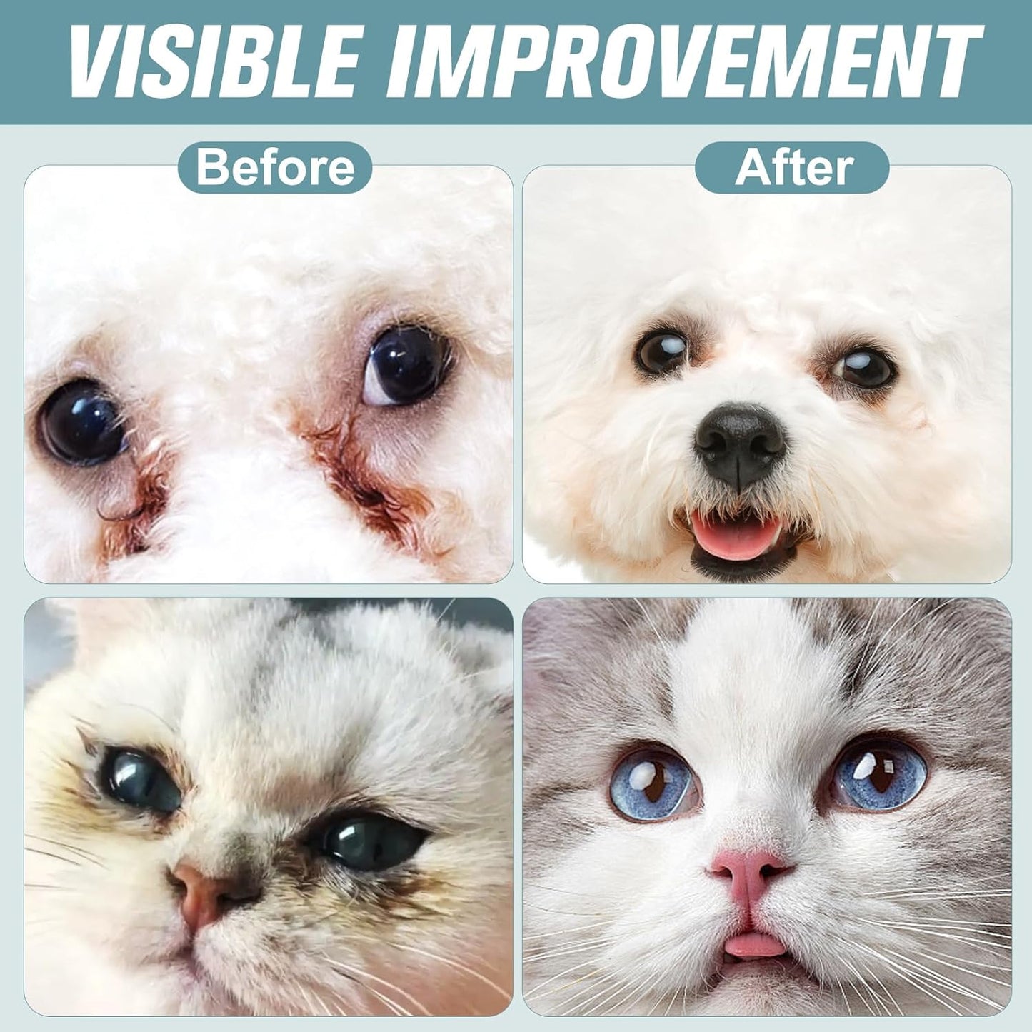 Pet Eye Drops for Dogs & Cats – Soothe Eye Infections,Allergies, Relieve Dogs Cats Dry Eyes Pink Eyes,Eye Wash for Pet Cleaning,Tear Stain Remover,Safe & Gentle Formula for All Animals (100ML)