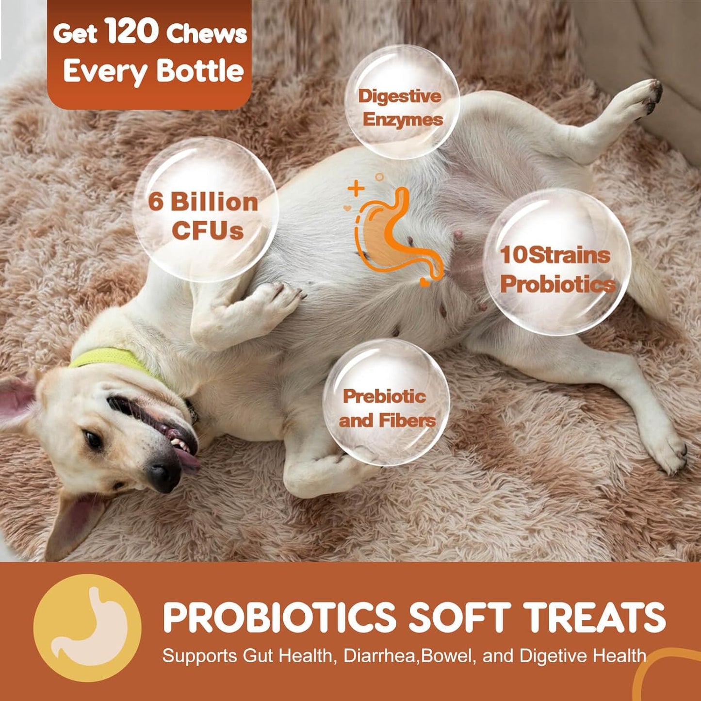 Probiotics for Dogs, Dog Probiotics for Digestive Health, Plus Pumpkin and Fish Oil, for Gut & Itchy, 115 Counts