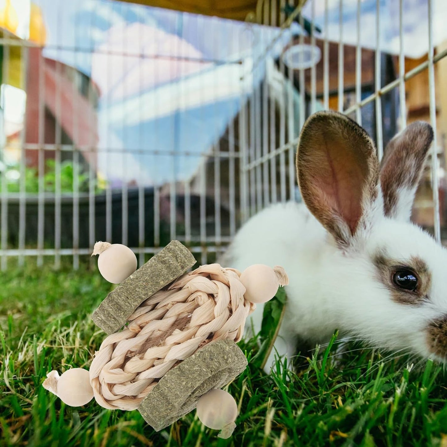 ERINGOGO Hamster and Guinea Pig Wooden Chew Healthy Teeth Grinding Biting Playthings for Small Animals Indoor Pet Supplies