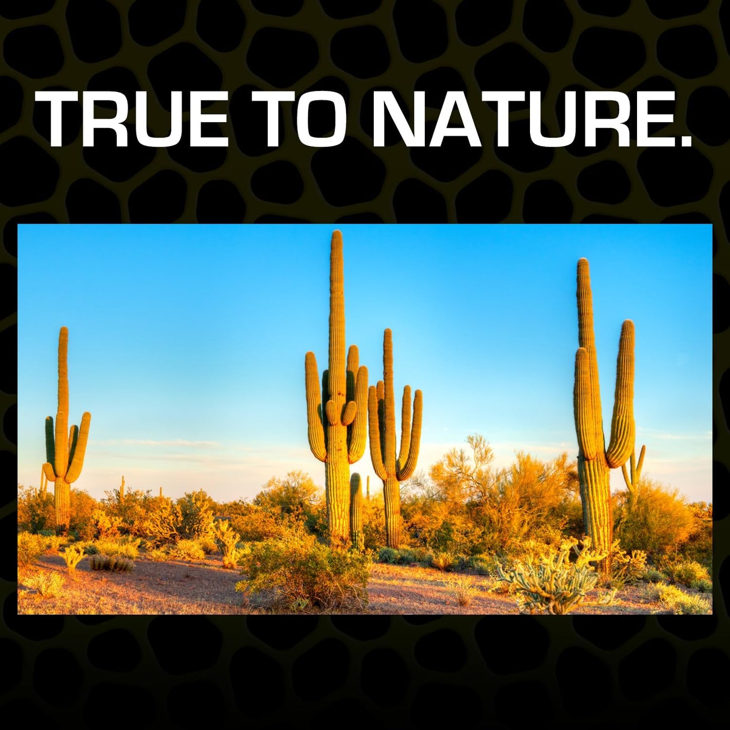Exo Terra Desert Sand, 10-Pound, Black