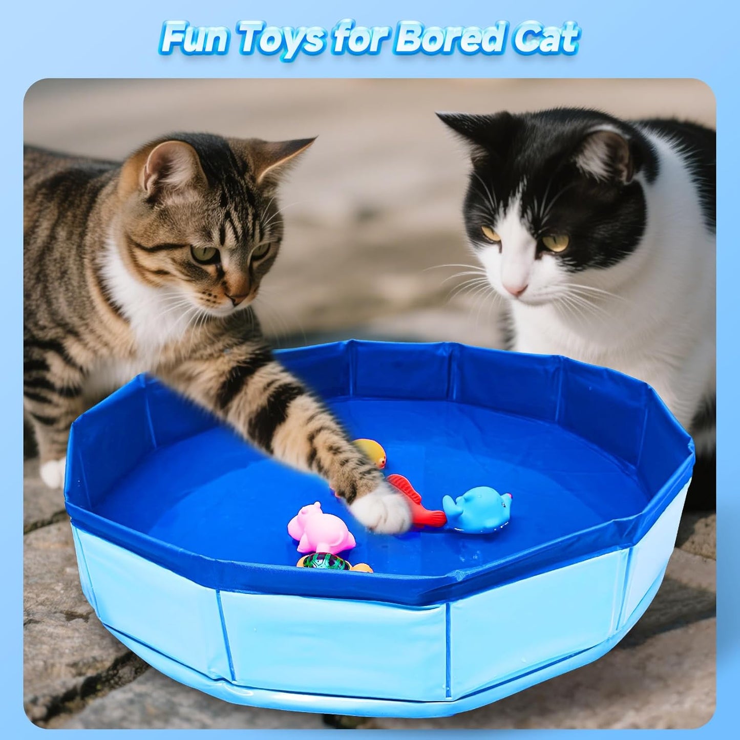 Eelexa Portable Cat Pool Toy with 6 Fish-Shaped Water Toys, Interactive Splash-Proof Indoor Cat Toys for Boredom Relief, Self-Play Cat Pool for Bored Cats, Easy Fill & Drain Design