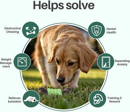 Gardner Pet Antler Dog Chew Toy, Long Lasting Interactive Dog Toys Add Shredded Coconut Nylon+TPR, Teeth Cleaning and Training Toy for Medium/Large Breed,Bacon Flavor