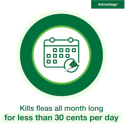 Advantage Topical Cat Flea Treatment and Prevention for Small Cats 2-9 lbs. | Apply Flea Drops Monthly | 2 Treatments