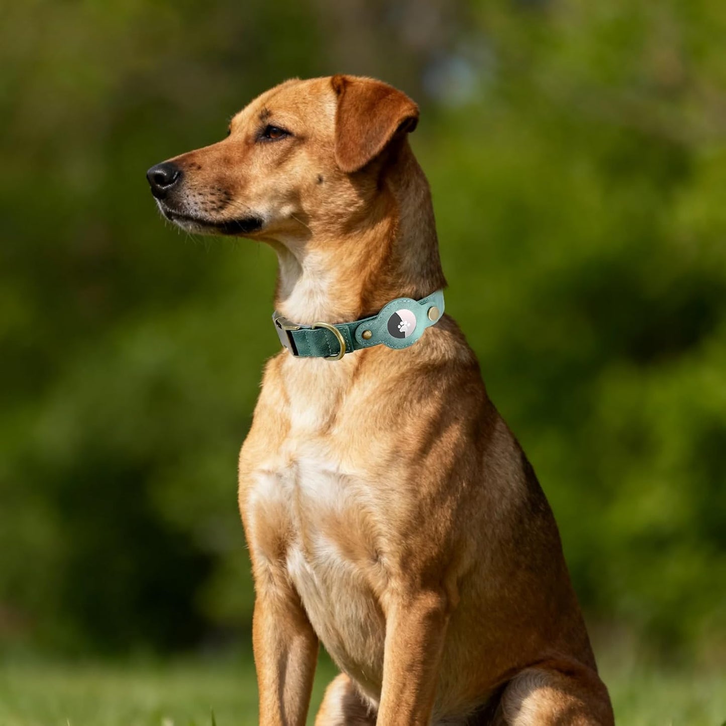 AirTag Dog Collar for Large Dogs - Soft Leather Dog Collar with Apple AirTag Holder and Metal Buckle - Smart Tracker GPS Apple Air Tag Pet Collars (Green, L)