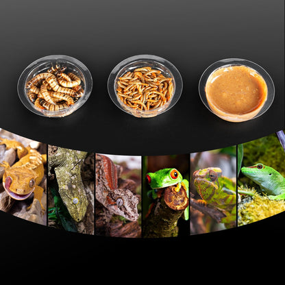 REPTIZOO 30PCS Feeding Cups for Reptile Magnetic Feeder Ledge, Replacement Cups for REPTIZOO Food Water Feeder Dish Gecko Feeding Ledge