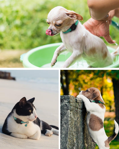 Dynmeow Dog Cat Collar Holder Compatible with Airtag, Anti-Lost Silcione Holder for 3/8 and 5/8 Inch Wide Collars, Black, S(1 Pack)