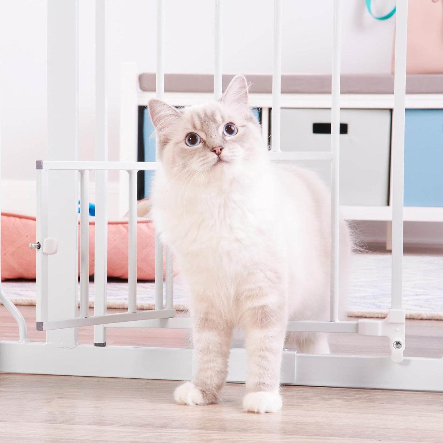 Carlson Pet Products Metal Gate