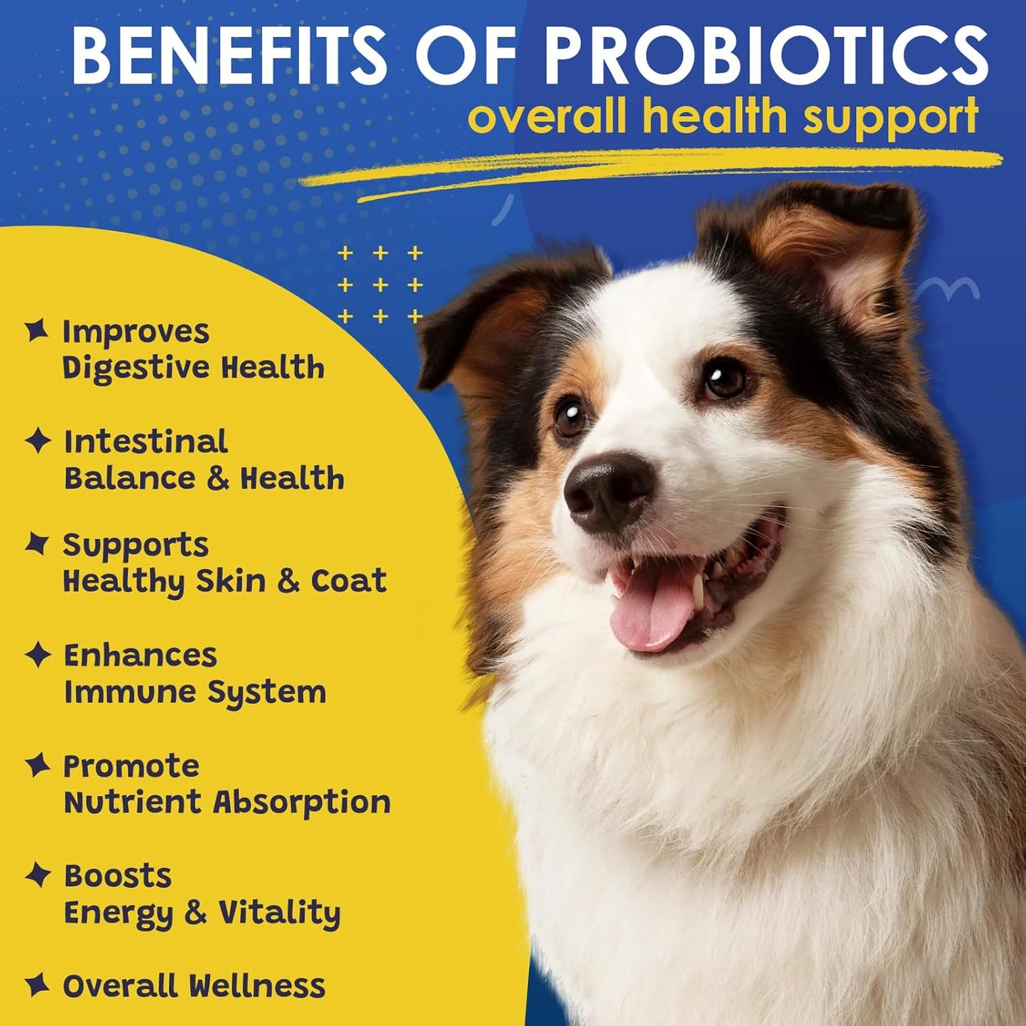 Probiotics & Salmon Fish Oil for Dogs Skin and Coat & Digestive Health
