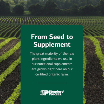 Standard Process Inc. VF Omega-3 for Pets - Dietary Supplement with Omega-3 Fatty Acids - Support Bone Growth, Immune Health, Heart Health - Fish Oil Supplement for Pets - 90 Softgels