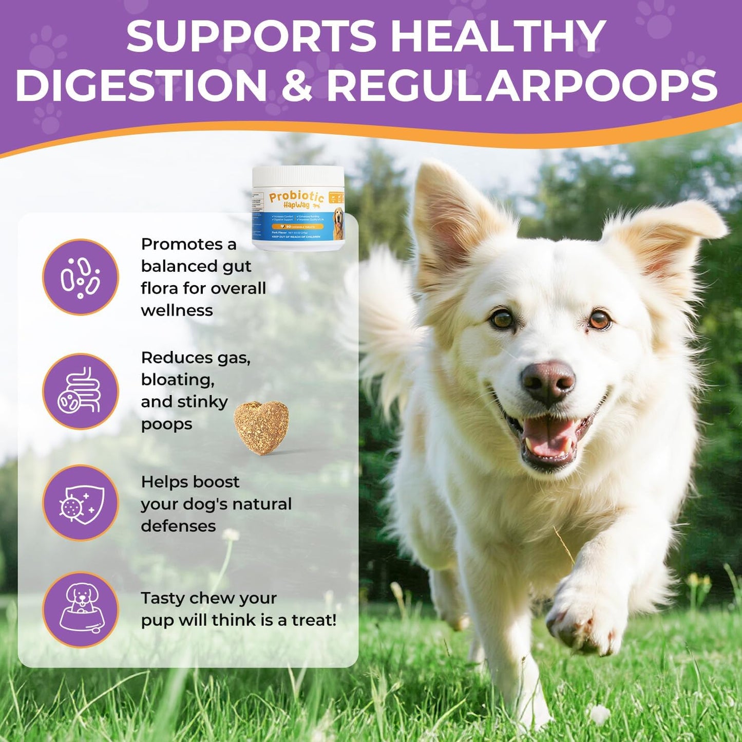 Dog Allergy and Immune Relief Chews - Probiotics for All Breeds and Ages Dogs, Support Gut Digestive Health, Anti Diarrhea, Constipation Relief, Dog Supplements - Pork Flavor - 90 Soft Chews