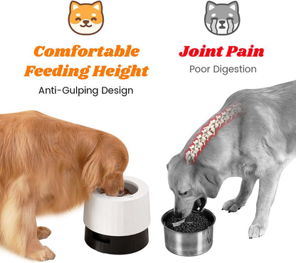 Pawque Elevated 60oz Slow Feeder Dog Bowls Large Breed, Single Raised Food Bowl for Medium Large Sized Dogs, Stable Sturdy Base and Snap on Adjustable Height Stand, Anti-Slip Mess Proof Dog Bowls