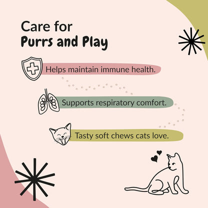 L-Lysine for Cats - 250mg per Chew, 150 Soft Chicken Flavor Chews to Replace Messy Powders and Pills, Turn Supplement Time Into Treats, Made in USA, Daily Immune Support, Picky Eaters