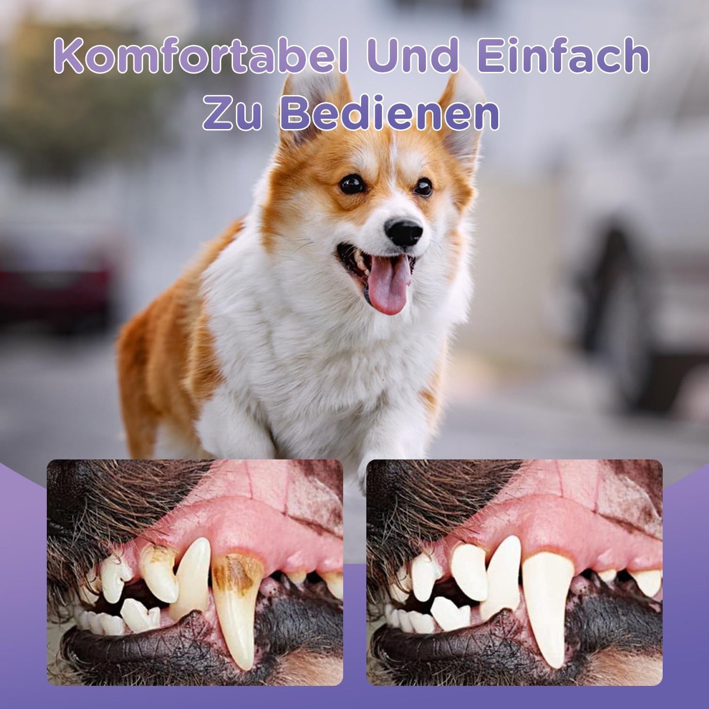 6Pcs Pet Oral Repair Gel, Dog Oral Repair Gel, Pet Breath Freshener for Cats and Dogs, Removes Tartar, Keeps Breath Fresh, Strengthens Teeth,No Brushing Oral Care Cleaner,3ML