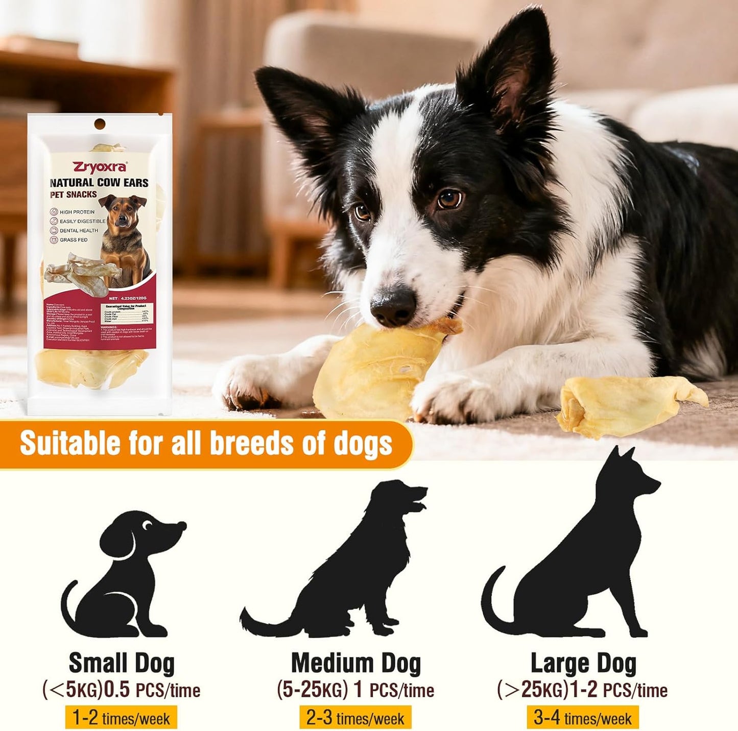 100% Natural Real Cow Ears for Dogs - Single Ingredient Dental Chew, Long-Lasting Treats for All Breeds (Small/Medium/Large) | High Protein, Easily Digestible(120g)