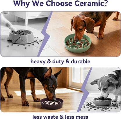 Ceramic Slow Feeder Dog Bowl - Maze Dog Bowl to Slow Down Eating - Fun Feeder for Fast Eaters - Ideal Food Control Dish for Medium to Large Breeds - 8.2 Inch - 1.8 Cups (180g) - Purple