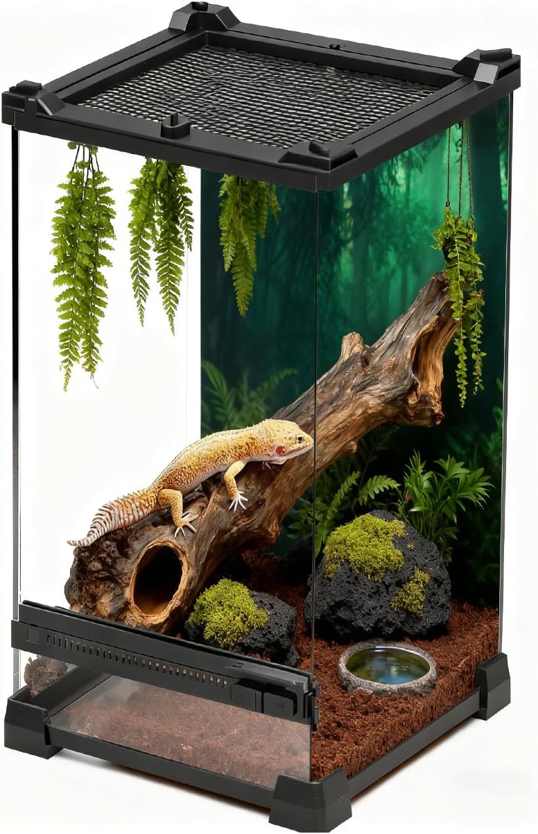 Reptile Tall Glass Terrarium Rainforest Habitat Single Door with Screen Ventilation,Small Reptile Terrarium for Spiders, Tarantulas, Snail, Mantis, Lizard (8 * 8 * 12 inch)