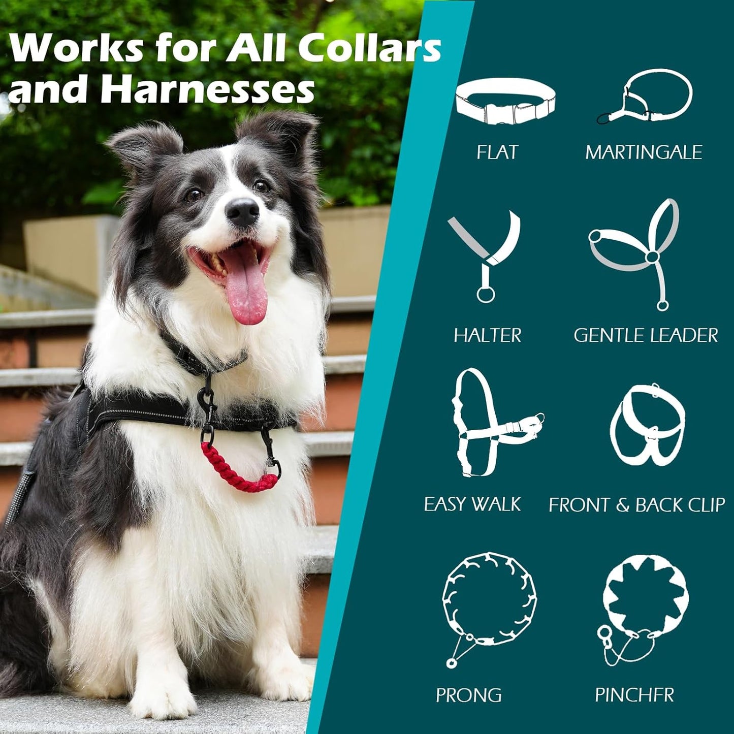 PetBonus Heavy Duty Tactical Dog Leash, 5 FT Bungee Shock Absorption Leash and Dog Collar Safety Clip