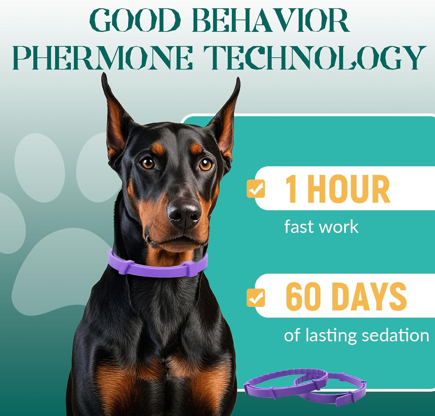 Probiotics for Dogs, Improve Itchy Skin Itchy Ears + Calming Collar for Dogs