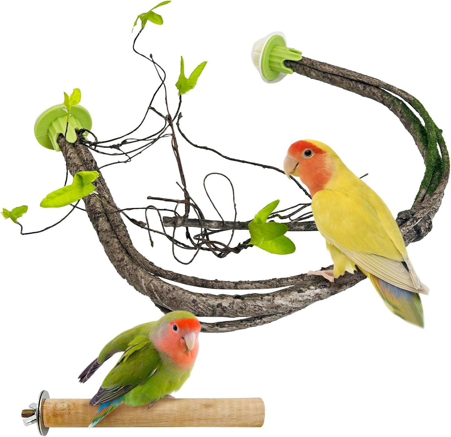 PINVNBY 2 Pcs Bendable Bird Perches & Wooden Perch Simulation Branch Parrot Perch Stand with Green Leaf Hanging Paw Grinding Fork Cage Accessories for Parakeet Budgie Finch Cockatiel Conure (Large)
