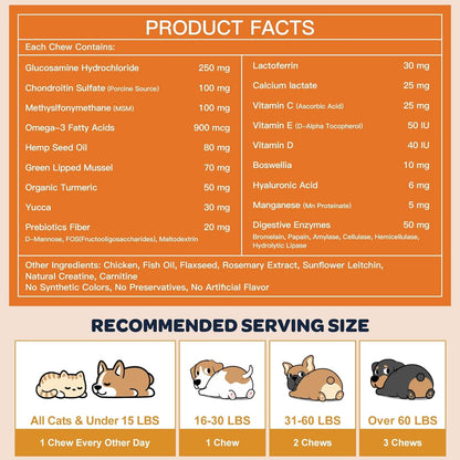 Glucosamine and Probiotics for Dogs