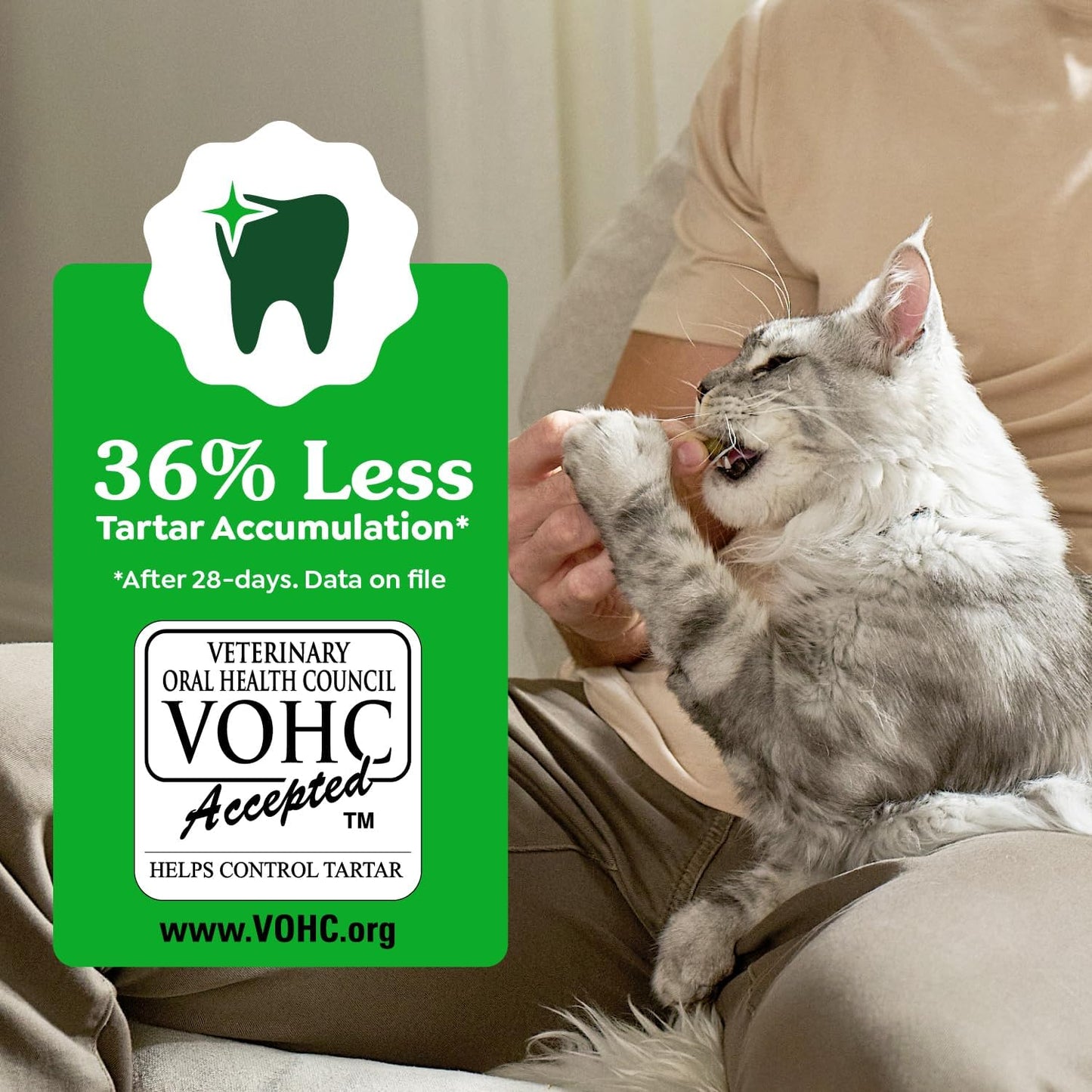 Greenies Feline Veterinarian-Recommended Adult Natural Dental Cat Treats, Savory Salmon Flavor, 9.75 oz. Tub