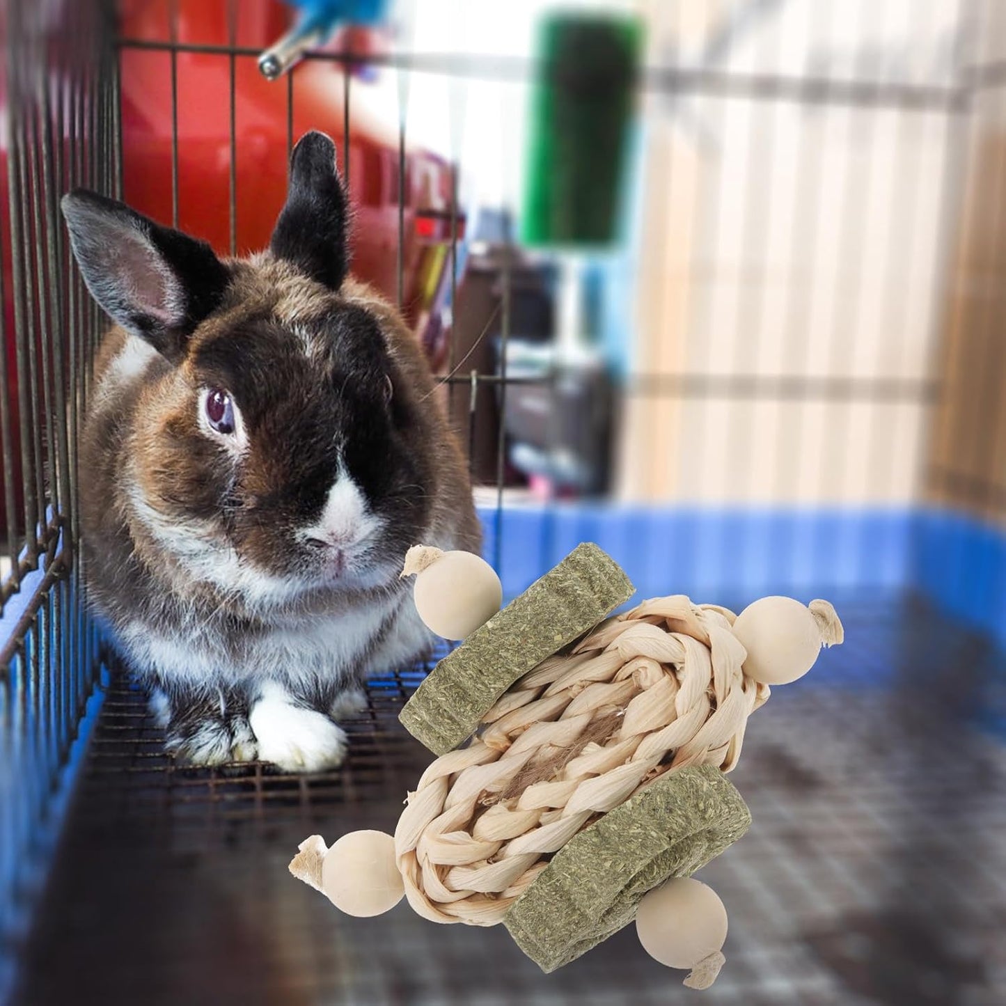 ERINGOGO Hamster and Guinea Pig Wooden Chew Healthy Teeth Grinding Biting Playthings for Small Animals Indoor Pet Supplies