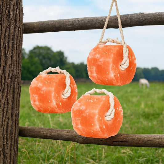 Himalayan Salt Lick for Animals – 3 Pack | 100% Natural Pink Salt Blocks with Rope | Long-Lasting Mineral Salt Licks for Horses, Cattle, Goats, Sheep, Deer & Livestock Treats