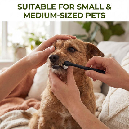 6 Pcs Puppy Tooth Brushing Kit, Small Dog and Cat Toothbrush Kit Mini Head Soft Nylon Bristles Portable Pet Tooth Brush Travel-Friendly Puppy Dog Toothbrush Deep Clean for Small Dogs Cats