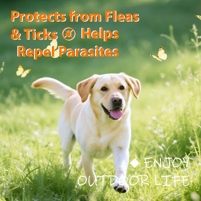 Flea and Tick Prevention for Dogs Chewables - 180 Treats - Natural Dog Flea and Tick Treatment Chewable Supplement for All Breeds & Ages - Soft Chews - Chicken Flavor