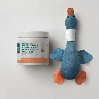 PawOrigins® Primal-Vitality™ Beef Organ Complex with Blue Duck Toy – Grass-Fed, Pasture-Raised Beef Liver, Heart, Kidney, Pancreas, Spleen & Bone Broth Powder for Dogs – Joint & Vitality Support