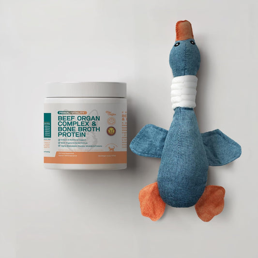 PawOrigins® Primal-Vitality™ Beef Organ Complex with Blue Duck Toy – Grass-Fed, Pasture-Raised Beef Liver, Heart, Kidney, Pancreas, Spleen & Bone Broth Powder for Dogs – Joint & Vitality Support