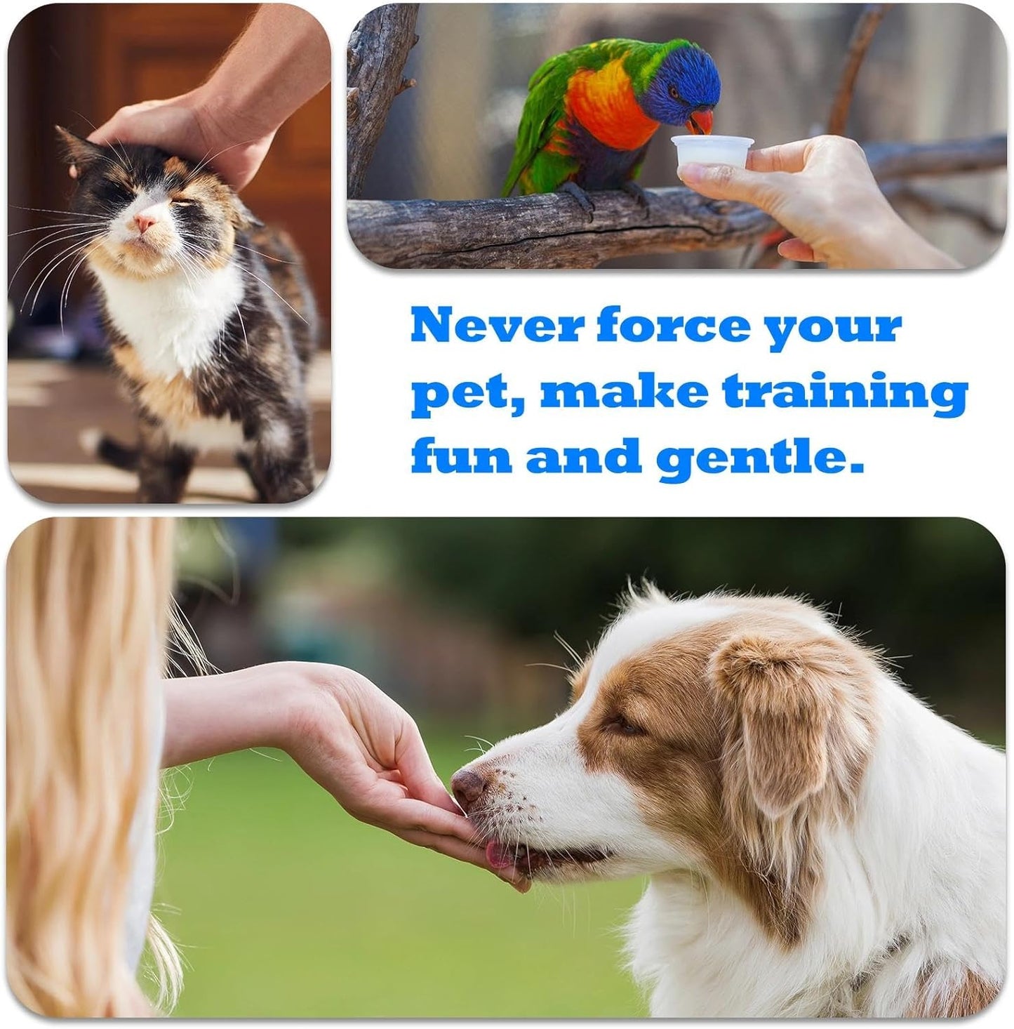 ABSONE Dog Clicker for Training with Wrist Strap, Training Clicker for Puppy, Cat, Potty, Bird, Horse, Pet, Dog Clicker Trainer Training Tools, Behavior Aids, 2 Pack Black and Green