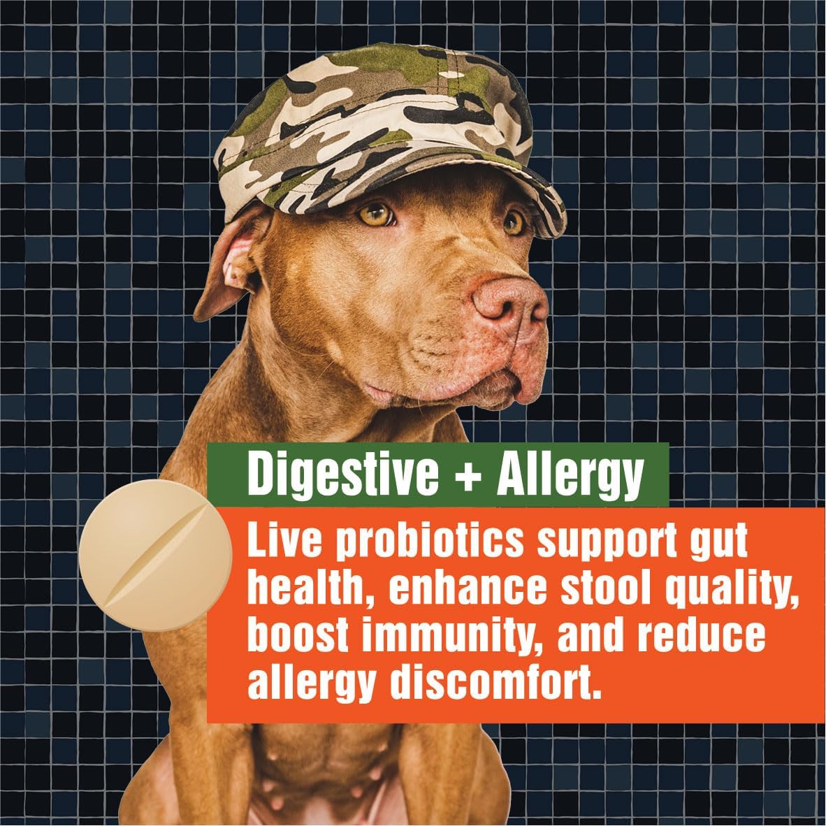Army Soldier Owned Dog Probiotics for Yeast, Itchy Skin & Itchy Ears, Dog Allergy Relief, Digestive Health, Occasional Diarrhea & Immune Support, 3 Billion CFU, 60 Yummy Chewables