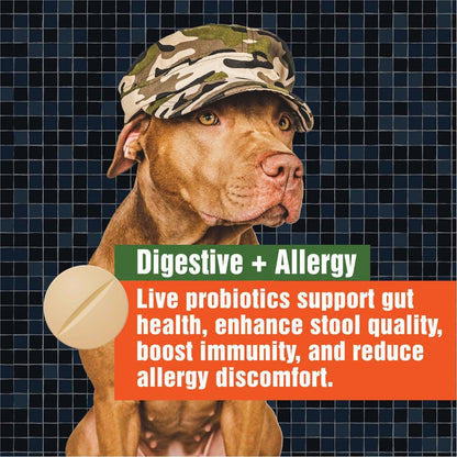 Army Soldier Owned Dog Probiotics for Yeast, Itchy Skin & Itchy Ears, Dog Allergy Relief, Digestive Health, Occasional Diarrhea & Immune Support, 3 Billion CFU, 60 Yummy Chewables